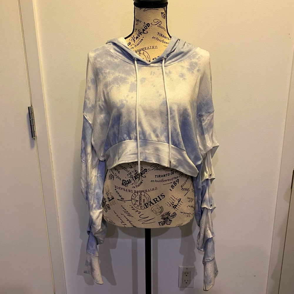 Divine Heritage crop hoodie